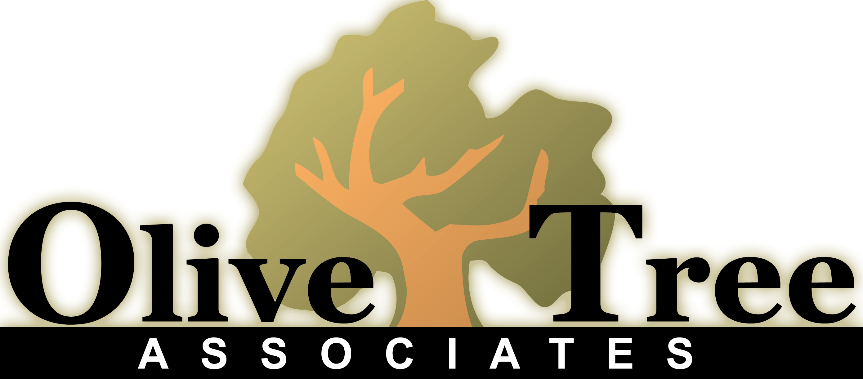 Olive Tree Associates